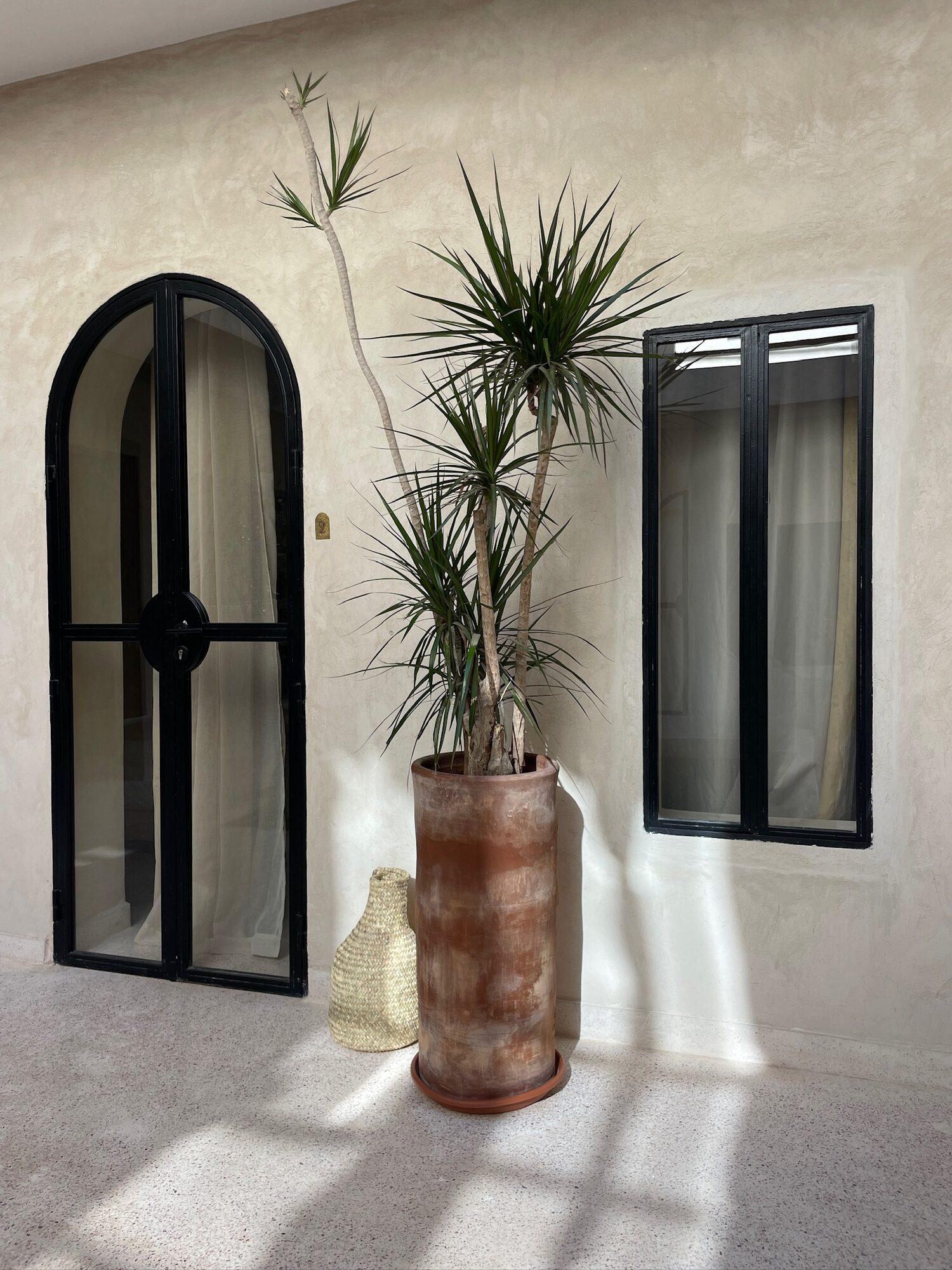 Riad Roca, Marrakech : photo 43