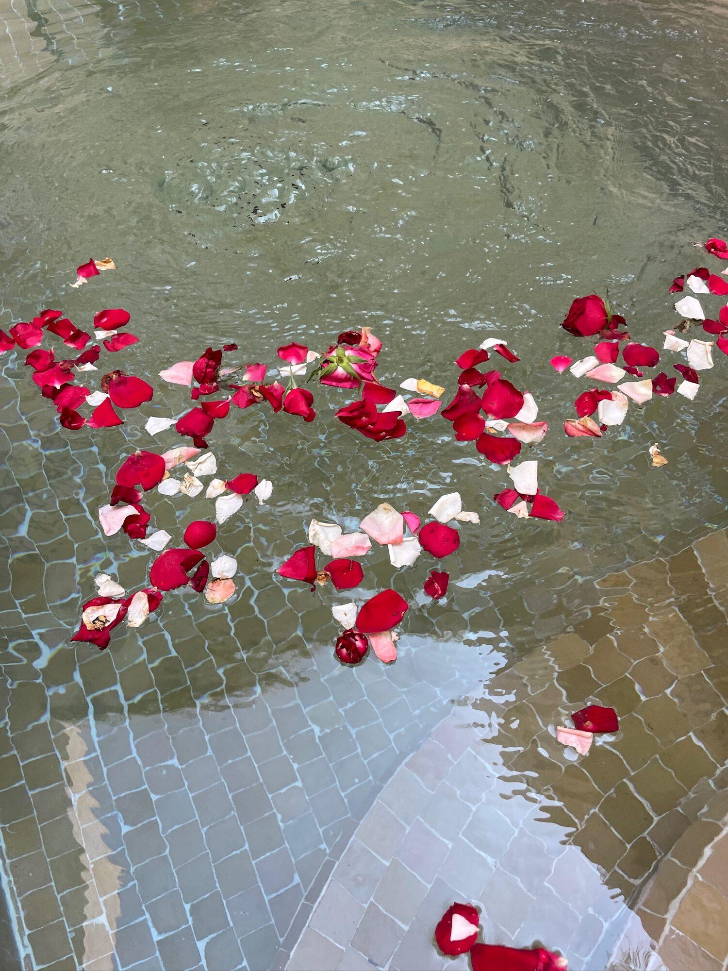 Riad Roca, Marrakech : photo 61